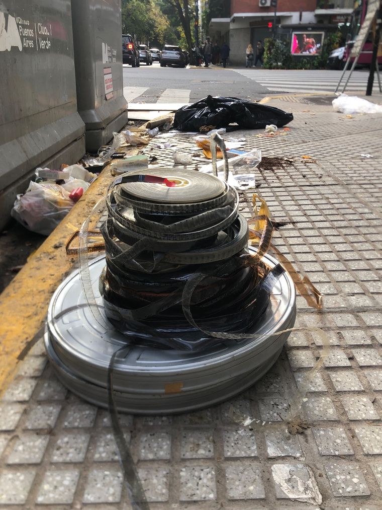 Un tesoro junto al conteiner de basura de Scalabrini Ortiz y Charcas Foto: X: @El_Baumo