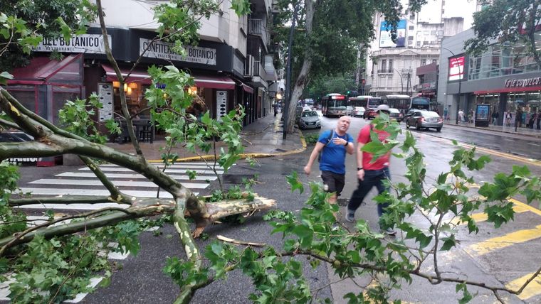 Foto: Ulises Naranjo/MDZ