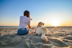 Cada vez más personas deciden viajar con sus mascotas Foto: Shutterstock