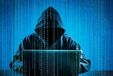 MDZol | Hacktivismo