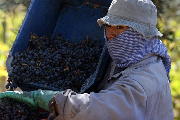 Foto: Nacho Gaffuri / MDZ