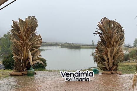 La Vendimia Solidaria pasada por agua. Suspendieron el evento por lluvias. La Vendimia Solidaria pasada por agua. Suspendieron el evento por lluvias.