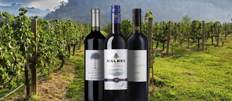 Foto: Taste Atlas Foto: Taste Atlas