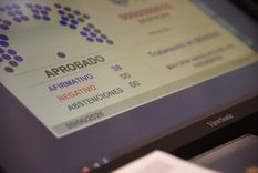 El proyecto fue aprobado por unanimidad en el Senado. Ahora deberá ser tratado en Diputados.