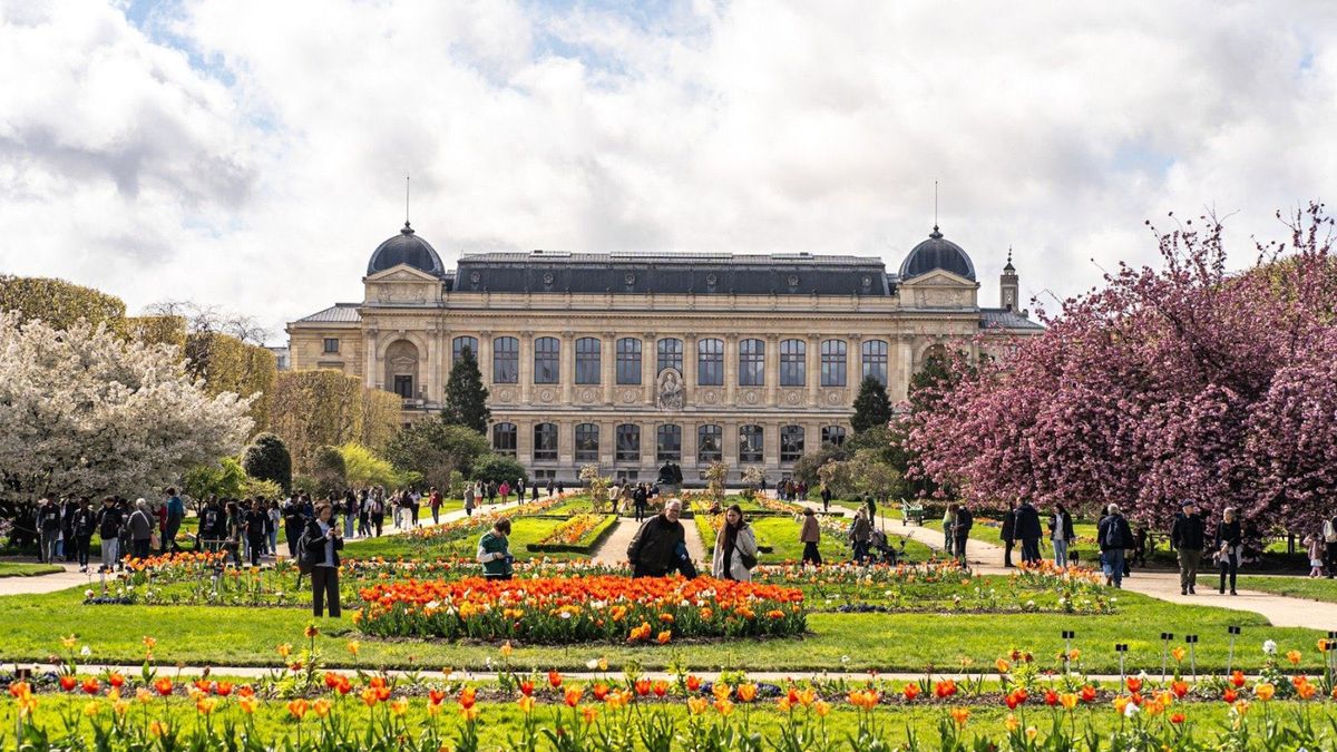 Hallazgo histórico: reapareció en París un sello real perdido de hace casi 1.000 años