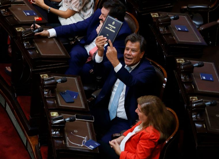 Facundo Manes y su hermano, Gastón, se apartan del radicalismo. Foto: NA