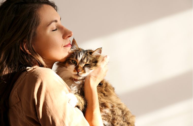 Día del gato Consejos para evitar estrés en tu mascota Foto: Shutterstock