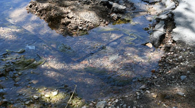 Foto: ALF PONCE MERCADO / MDZ