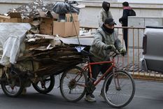 La crisis económica empuja a cientos de mendocinos a buscar en la basura una forma de subsistir. Foto: Rodrigo DAngelo / MDZ
