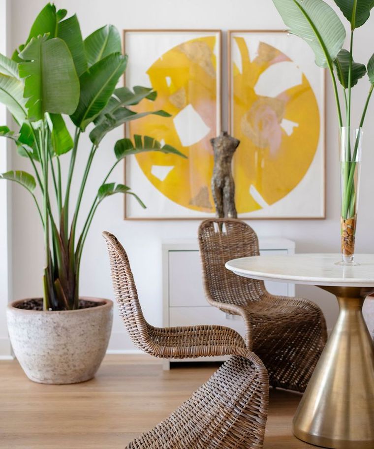 Los mejores consejos para las plantas de interior. Foto: &nbsp;Rachel Blindauer / Abby Liga Photography.