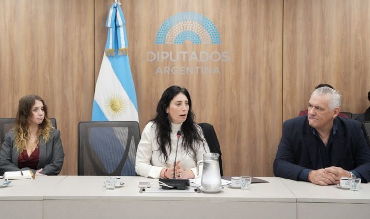 La Comisión de Derechos Humanos de Diputados viajará a Formosa. Foto: Honorable Cámara de Diputados