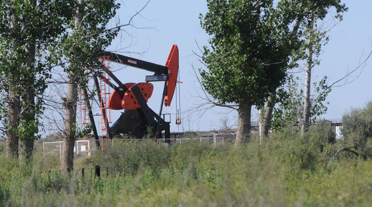 Foto: Pachy Reynoso/MDZ