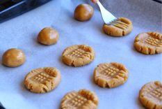 galletas de dulce de leche Foto: Shutterstock