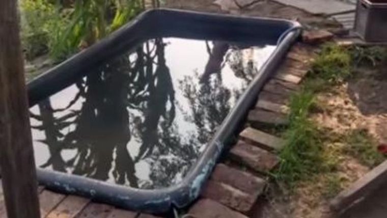La pileta donde el padrastro del menor intentó matarlo por ahogamiento