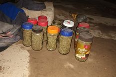 Los frascos de cogollos secuestrados tras las pelea.&nbsp;