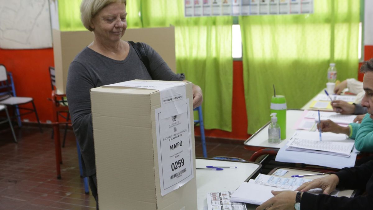 Estos Son Resultados Oficiales De Las Elecciones Paso En Los Siete