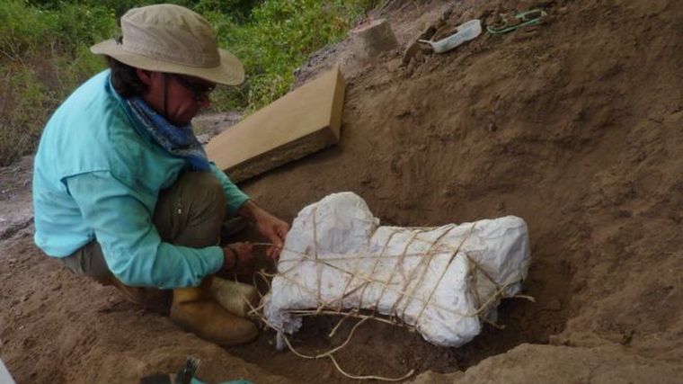 Foto: Ascanio Rincón