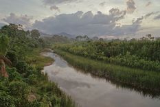 La Amazonía abarca más del 40% de todo el territorio de Bolivia. Foto: GETTY IMAGES