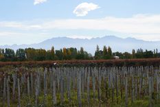 El lunes tendrá cielo parcialmente nublado y temperaturas más frescas en Mendoza. El lunes tendrá cielo parcialmente nublado y temperaturas más frescas en Mendoza.