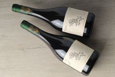 el vino del dia: un alta gama para un momento especial