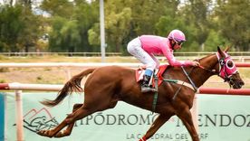 El Hipódromo de Mendoza es la sede del Gran Clásico Vendimia y el Clásico Patrono Santiago El Hipódromo de Mendoza es la sede del Gran Clásico Vendimia y el Clásico Patrono Santiago