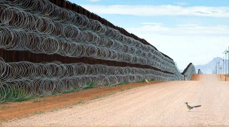 La foto premiada. Foto: Bird Poty.