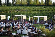 El enoturismo es un modo de llevar el vino a Brasil Foto: Gentileza: Municipalidad Maipú