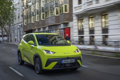 MDZol | BYD Dolphin Surf