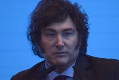 Javier Milei fue duramente cuestionado por un conocido actor Foto: Juan Mateo Aberastain/MDZ