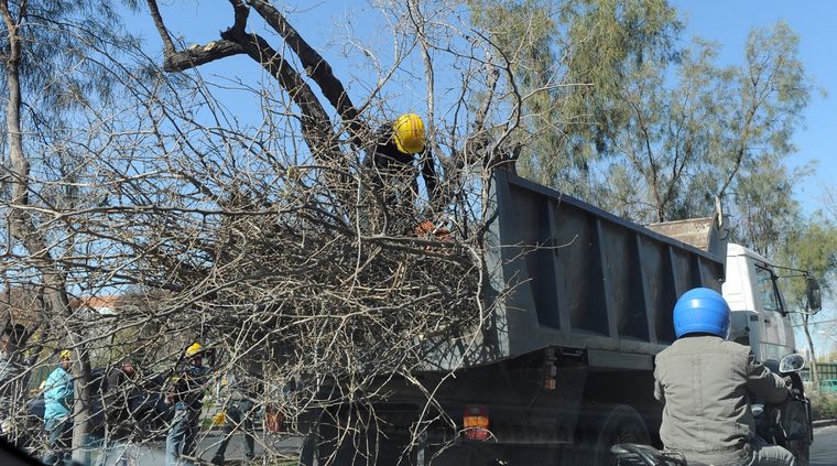 Foto: ALF PONCE MERCADO / MDZ