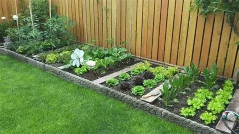 Las plantas para sembrar en agosto.