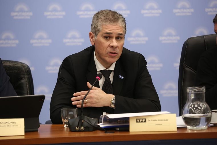 Pablo González participó en un plenario de comisiones de la Cámara de Diputados Foto: Twitter @YPFoficial