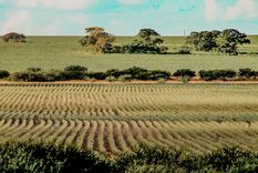 El museo ferroviario y las tradiciones de inmigrantes forman parte del atractivo cultural del pueblo.