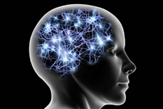 Nuevas investigaciones en genética y neurociencia indican que el tamaño del cerebro está lejos de ser el único factor que determina la inteligencia. Foto: GETTY