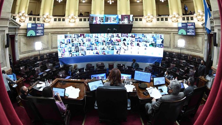 El Senado cajoneó la nueva ley de economía del conocimiento y las empresas están desesperadas