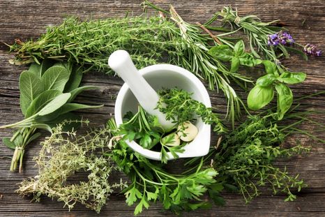 Las plantas que coadyuvan en la salud de la mujer. Foto: Archivo