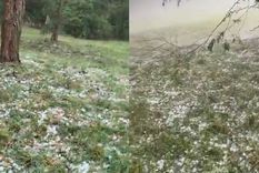 Las imágenes de la caída de granizo en General Belgrano, Buenos Aires. Las imágenes de la caída de granizo en General Belgrano, Buenos Aires.