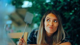 Las moscas ya no serán un problema en el hogar con este truco casero Foto: Shutterstock Las moscas ya no serán un problema en el hogar con este truco casero Foto: Shutterstock