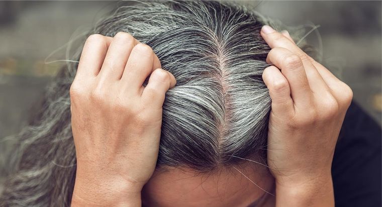 Elimina estos hábitos para no llenarte de canas. Foto: Shutterstock