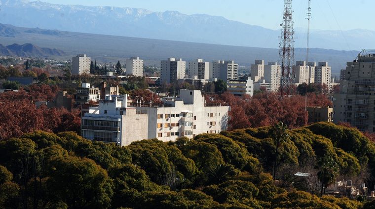 Los árboles son el pulmón de la ciudad. Foto: ALF PONCE MERCADO / MDZ