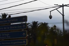 Foto: Maximiliano Ríos/MDZ Foto: Maximiliano Ríos/MDZ