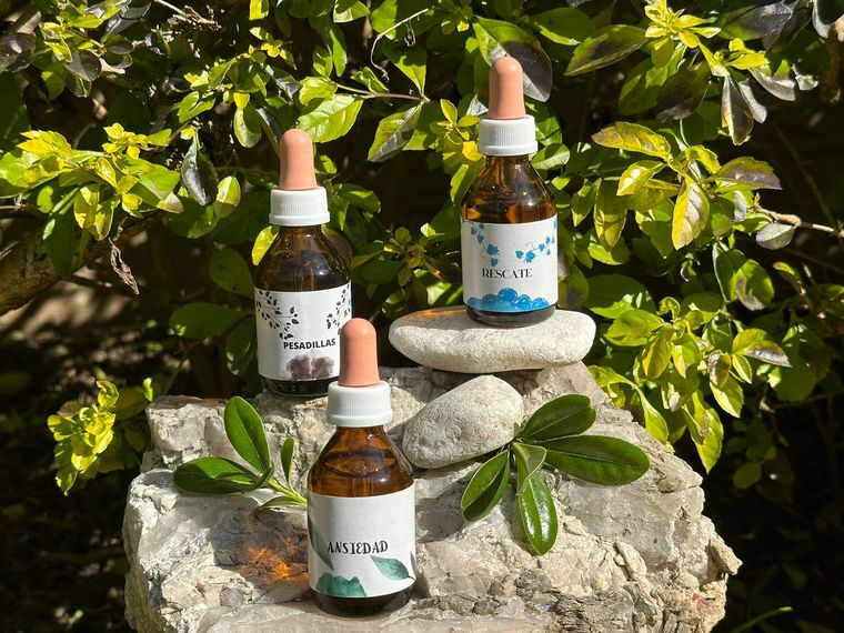 Las Flores de Bach son una terapia alternativa que se aplica ante ansiedad, ataques de pánico, insomnio, bruxismo por estrés y dificultades propias de la menopausia.&nbsp;