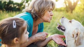 Algunas razas pequeñas y de carácter dócil son ideales para acompañar a los abuelos en su rutina diaria. Foto: Shutterstock Algunas razas pequeñas y de carácter dócil son ideales para acompañar a los abuelos en su rutina diaria. Foto: Shutterstock