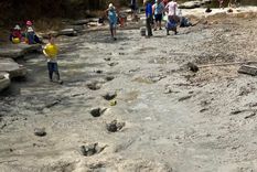 Las huellas en el lecho del río. Foto: Facebook @DinosaurValleyStatePark