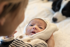 Ambos pueden desarrollar el mejor vínculo. Foto: Shutterstock