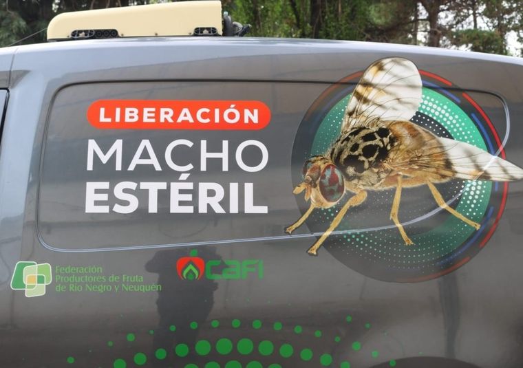 Mendoza abastecerá de material biológico a las provincias patagónicas durante ocho meses.