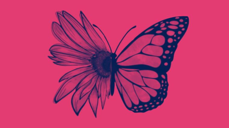 Test de personalidad