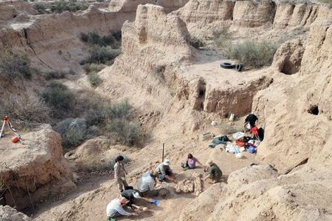 Trabajo de campo en Barrancas de Maipú. Trabajo de campo en Barrancas de Maipú.