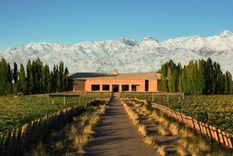 Icónica y pionera bodega de Tunuyán. Foto: Archivo MDZ