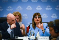 Bullrich fuertemente cuestionada por una diputada oficialista Foto: Telam Bullrich fuertemente cuestionada por una diputada oficialista Foto: Telam
